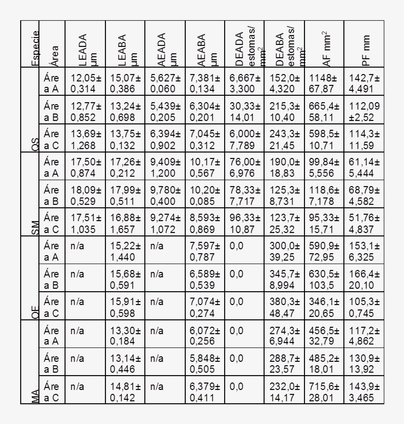 Tabla 1 Valores Promedio De Variables Morfo-anatómicas - Number, transparent png download