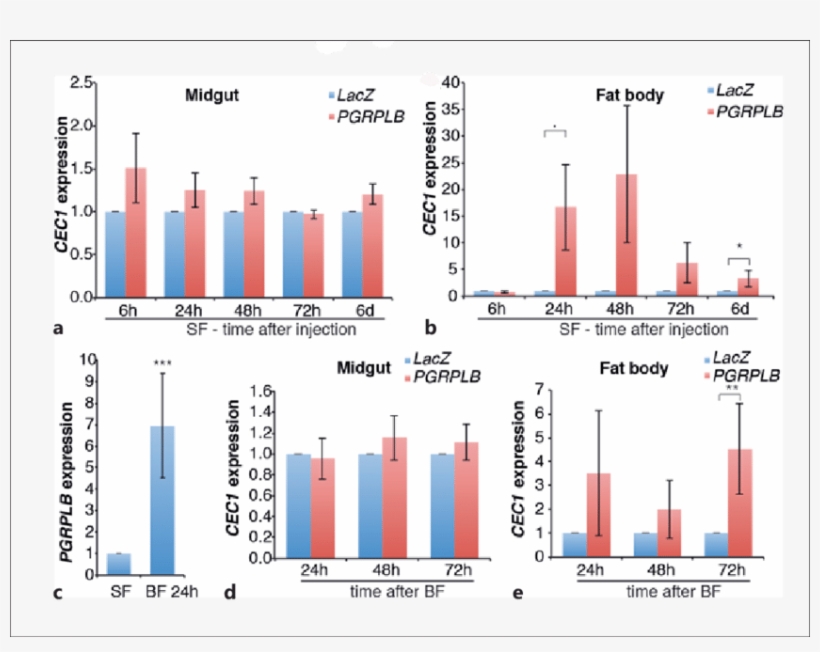 Effect Of Pgrplb Rnai On The Local And Systemic Activation - San Francisco, transparent png download