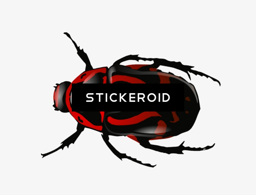 Roach Bug Bugs Insects - Beetle Clip Art, transparent png download
