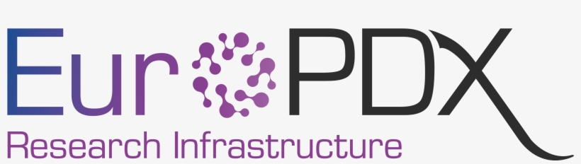 Stay In Touch For Further Information, And Future Calls - Graphic Design, transparent png download