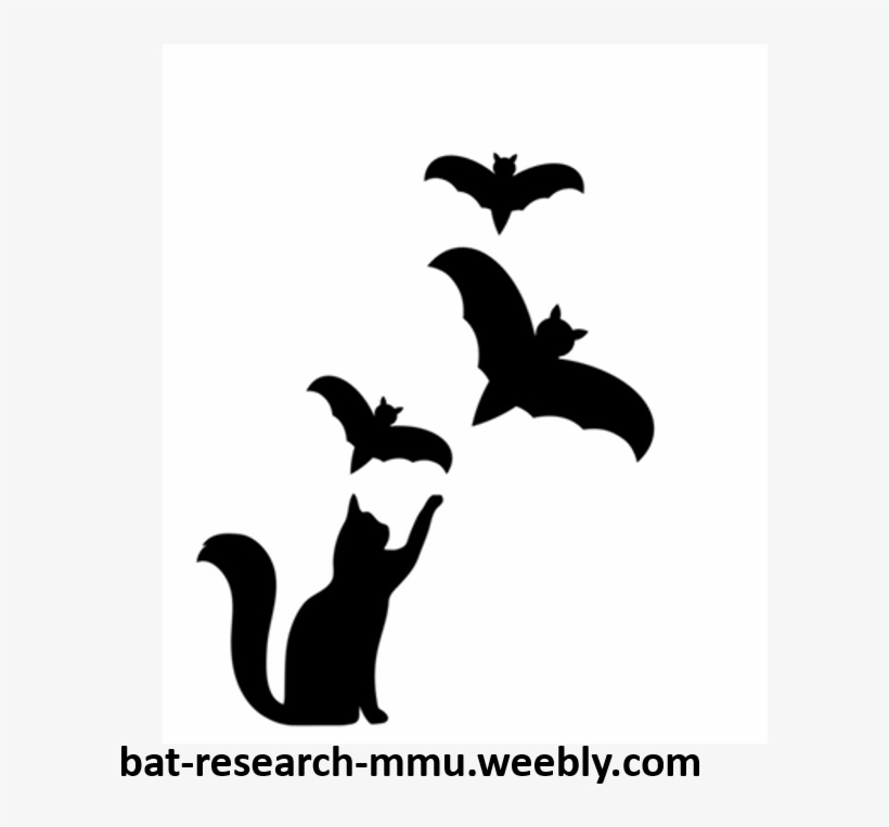 17 Jan - Silhouette, transparent png download