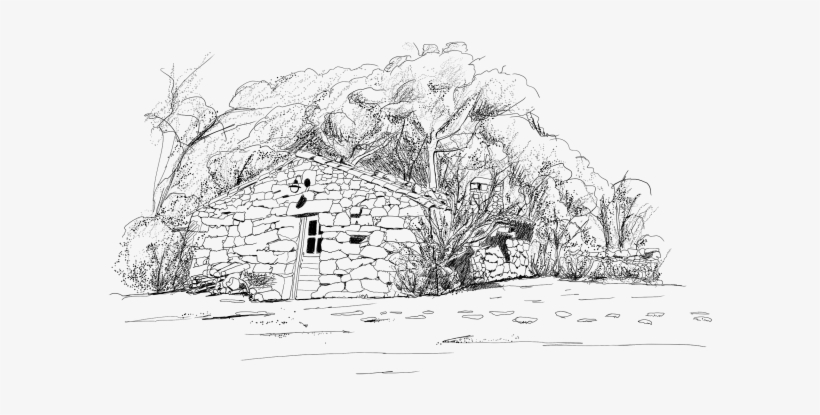 Area - Sketch, transparent png download