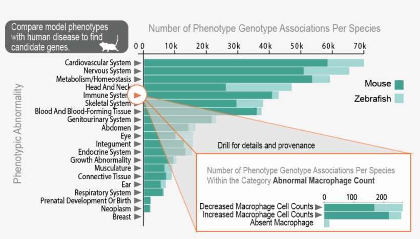 Explore Models - Human Eye Disease In Graphs, transparent png download