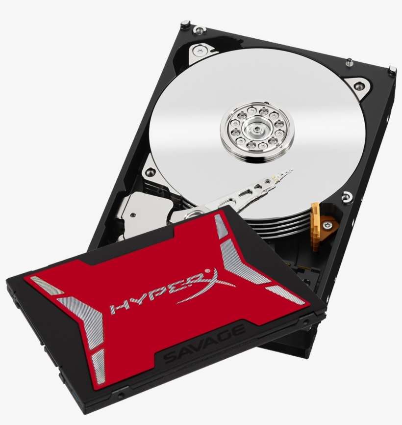 Western Digital Red 3tb 3000gb Serial Ata Iii Kingston - Wd 1tb Performance Desktop Hard Disk Drive, transparent png download