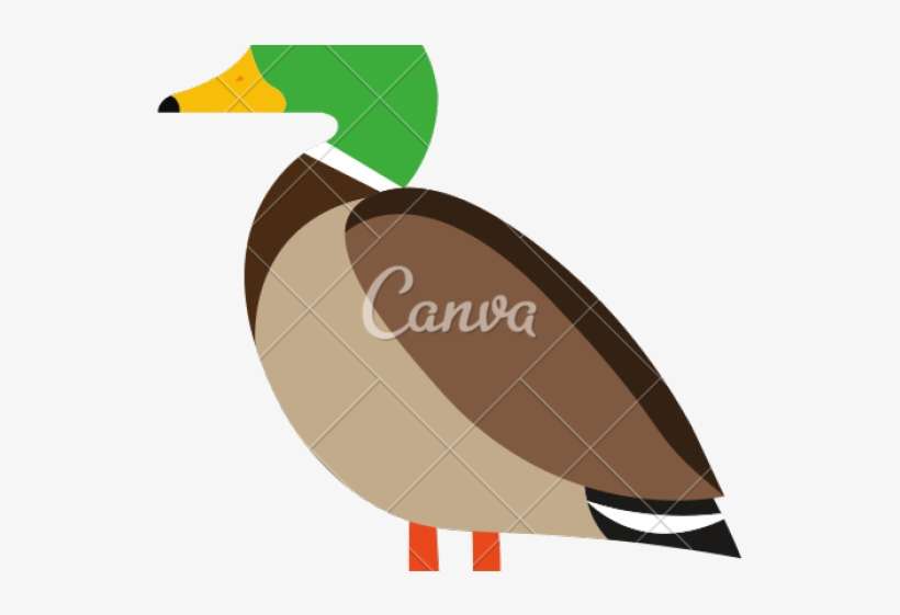 Use Canva Like A Pro, transparent png download