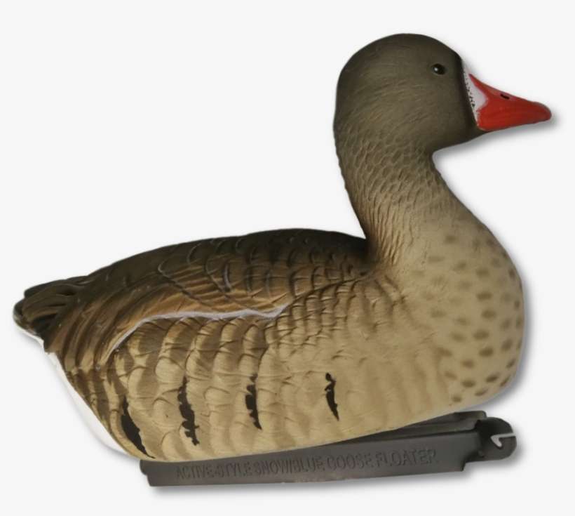 Image Of Floating Greylag Decoy - Greylag Goose, transparent png download