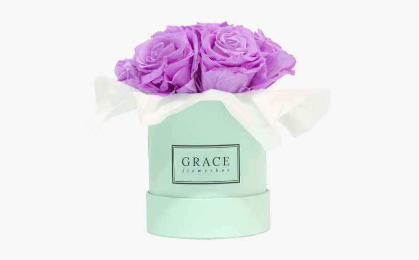 Baby Lilli Bouquet - Hybrid Tea Rose, transparent png download