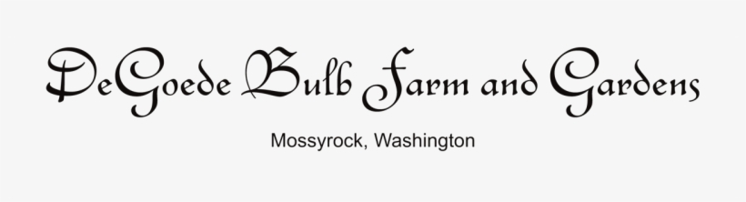 Children Of Bodom, transparent png download