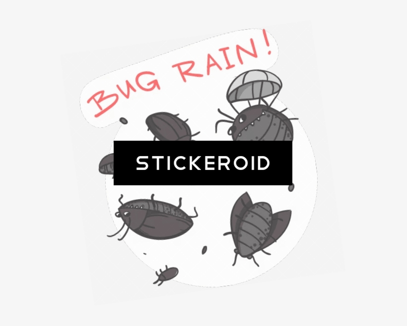 Bug Rain - House Fly, transparent png download