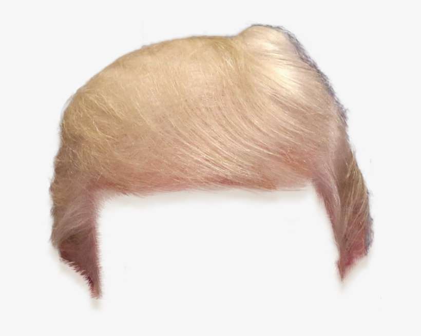Trump Hair Cutout, transparent png download