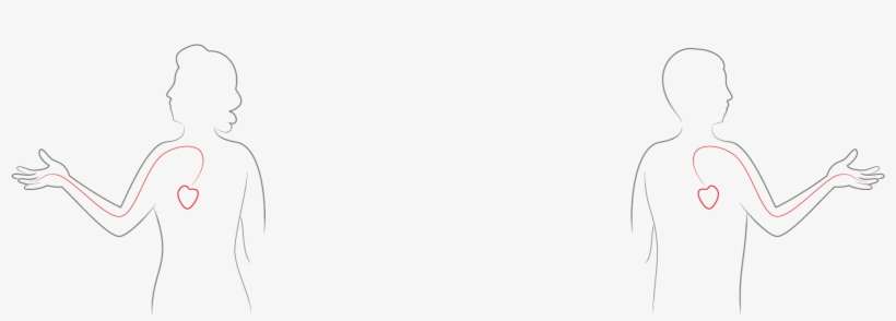 Vena Amoris - Figure Drawing, transparent png download