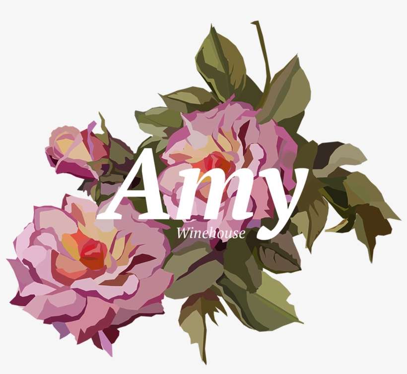 Http - //www - Alexisholm - Com/ < If You Want To See - Bougainvillea, transparent png download