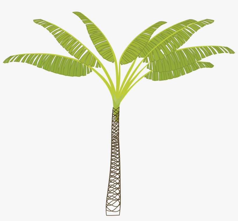 Palm Trees Computer Icons Date Palm Flowering Plant - Palm Tree Business Card, transparent png download