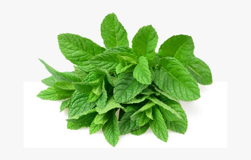 Pepermint Png - Bueno Para El Dolor, transparent png download