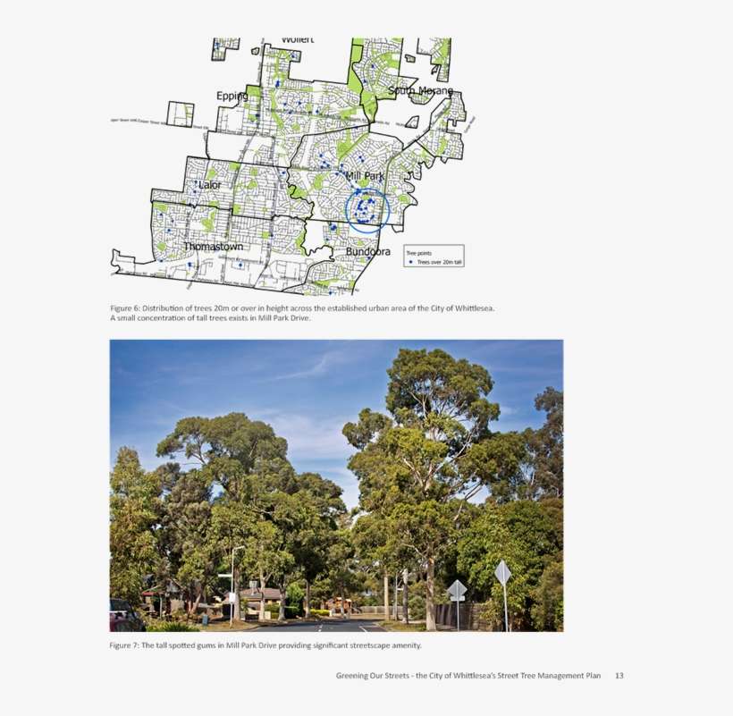 3 City Transport And Presentation 9 Aug - Tree, transparent png download