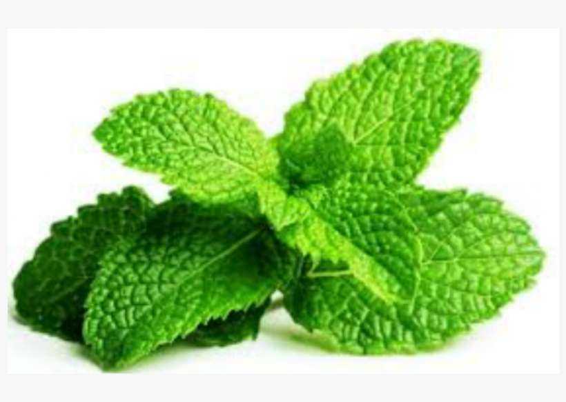 Mint Png File Download Free - Fresh Spearmint, transparent png download