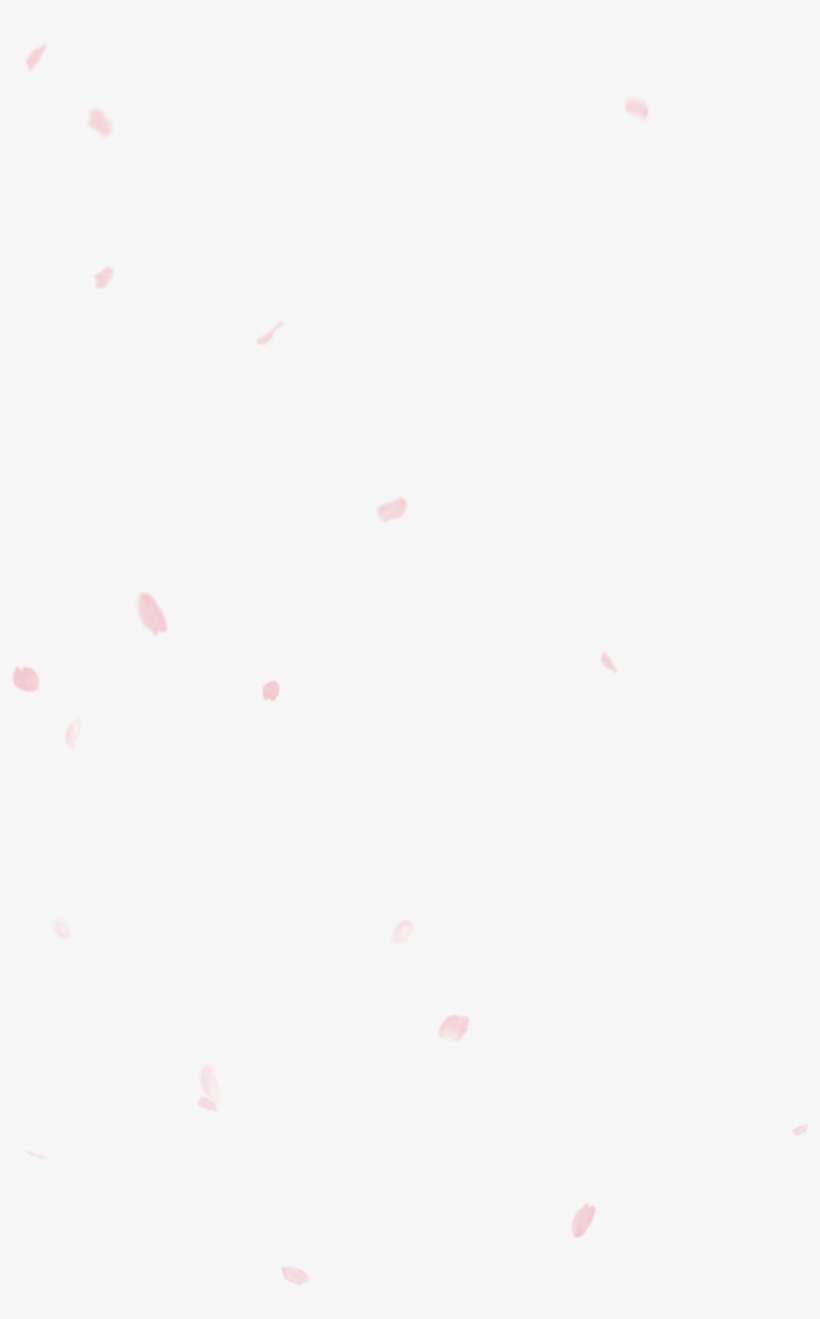 An Cherry Blossom Season 2018 Veltra Tours Activities - Pattern, transparent png download