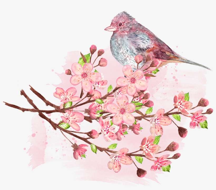 Tips For Cherry Blossom Viewing - Bird, transparent png download
