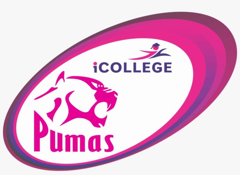 Pumas Rugby Union - Rugby Union, transparent png download