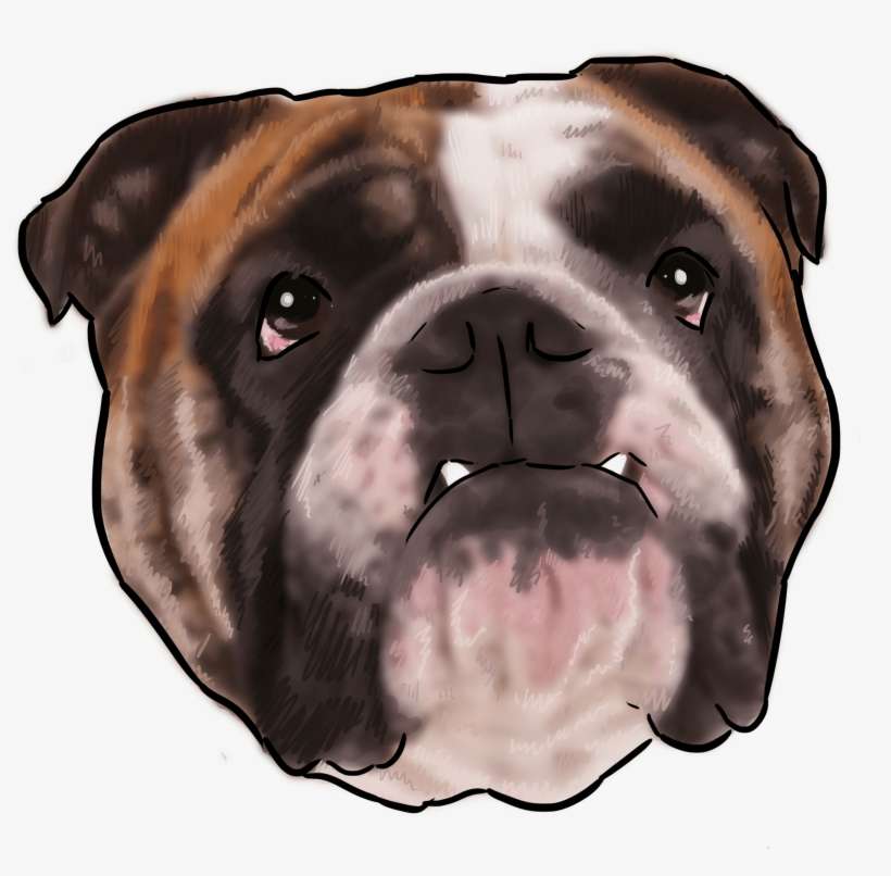40 Why Are You A Bulldog - Dog, transparent png download