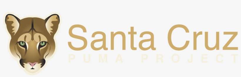 Santa Cruz Puma Project - Santa Cruz De La Sierra, transparent png download