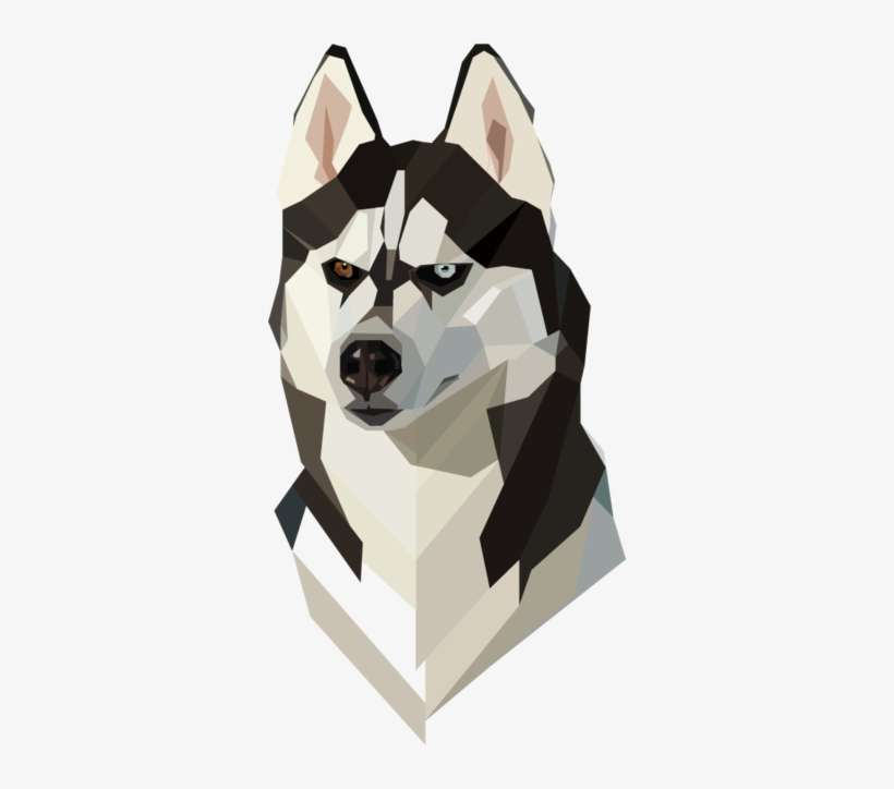 Vector Bear Polygonal - Justin Maller Dog, transparent png download