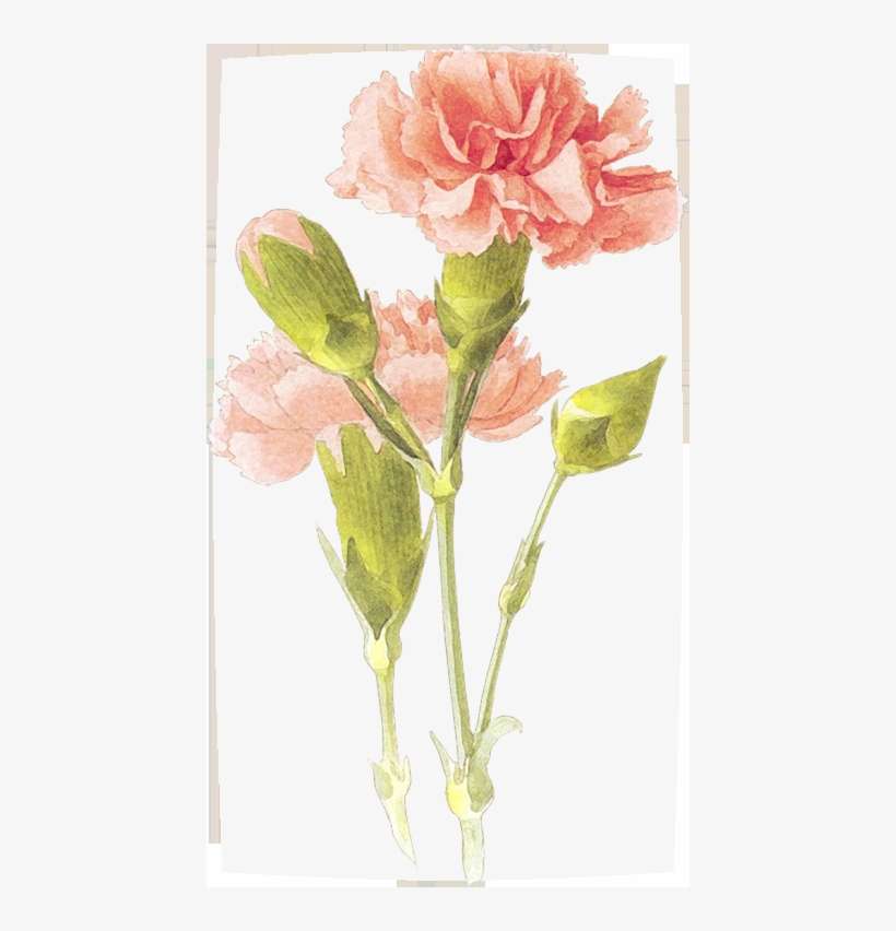 Love Myself Love Yourself, transparent png download