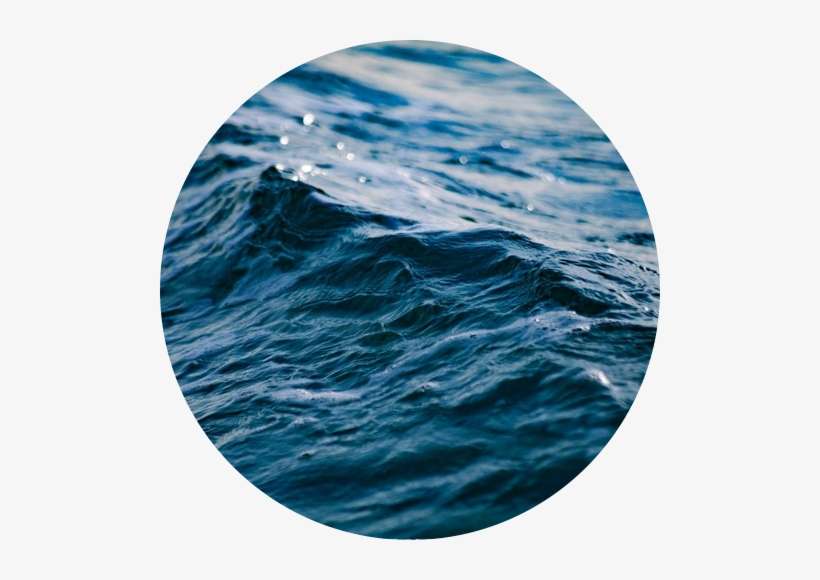 These Free Field Trip Experiences Include A Complimentary - Seawater, transparent png download