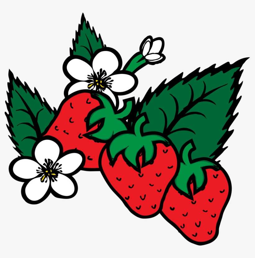 Pre-k Berry Fun Field Trip - Strawberry Plant Clip Art, transparent png download