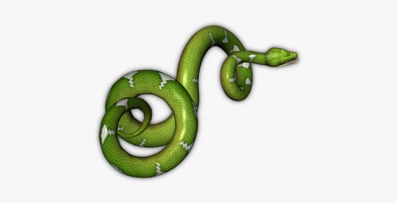 Snake Png Free Download - Transparent Background Snake Clipart, transparent png download