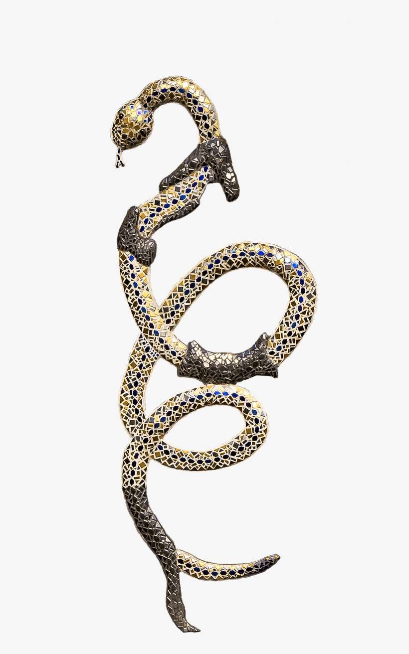 Snake Shedding Skin - Portable Network Graphics, transparent png download