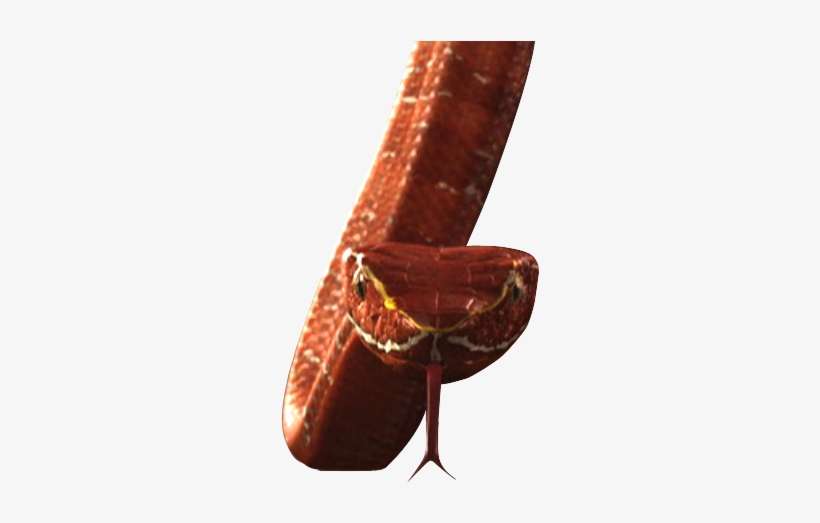 Snake - Portable Network Graphics, transparent png download