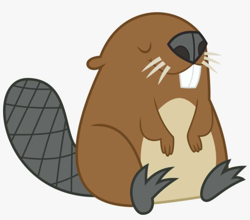 Beaver Png Photo - Clipart Beaver, transparent png download
