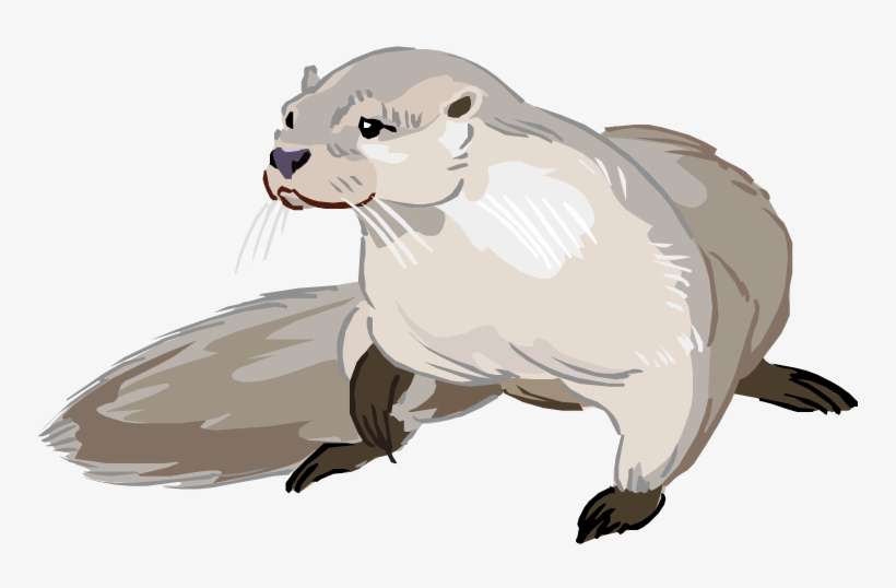 Cartoon - River Otter Clip Art, transparent png download
