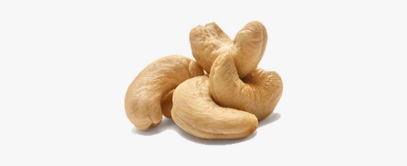 Cashew Close Up - Complete Book On Cashew (cultivation, Processing, transparent png download