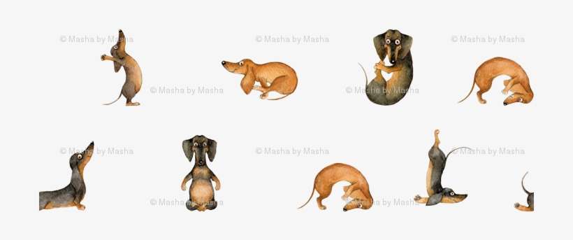 Dachshund Sausage Dog Yoga Inga Smg Giftwrap - Yoga Dachshund, transparent png download