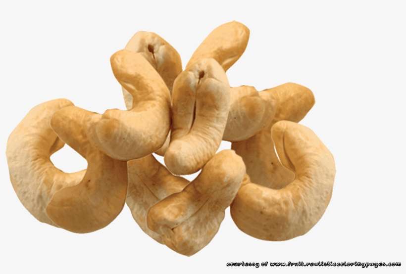 Free Marvelous Fruit Names A Z - Cashew Nuts Clipart, transparent png download