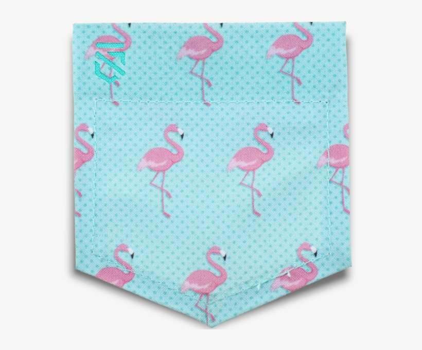 Flocking Flamingos - Flamingo, transparent png download