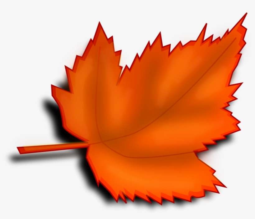 Download Fall Leaves Transparent Background Clipart Svg Freeuse Transparent Background Leaf Clipart Png Image Transparent Png Free Download On Seekpng