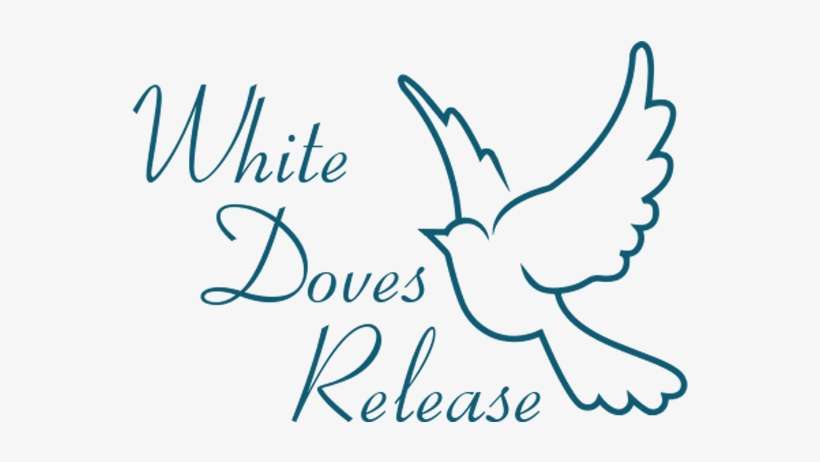 White Dove Release Lanarkshire And Glasgow - Dove Clip Art Png, transparent png download