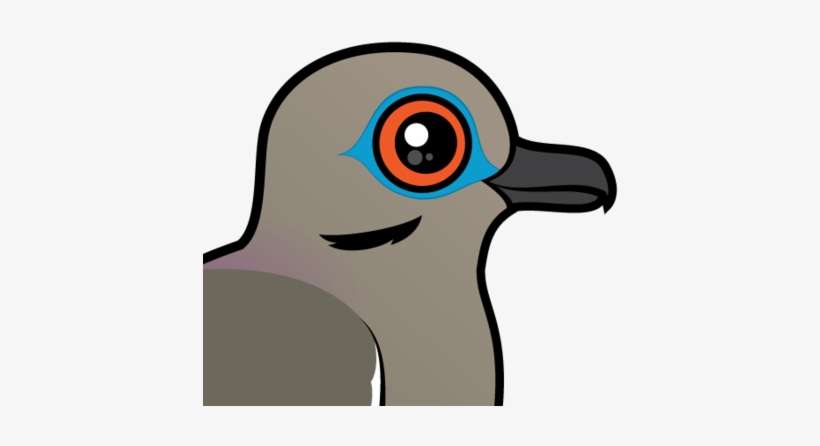 About The White-winged Dove - White Wing Dove Cartoon, transparent png download