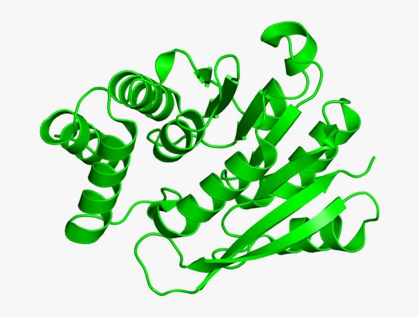 <div Class='caption-body'>1 Copy Of Cath Domain <, transparent png download