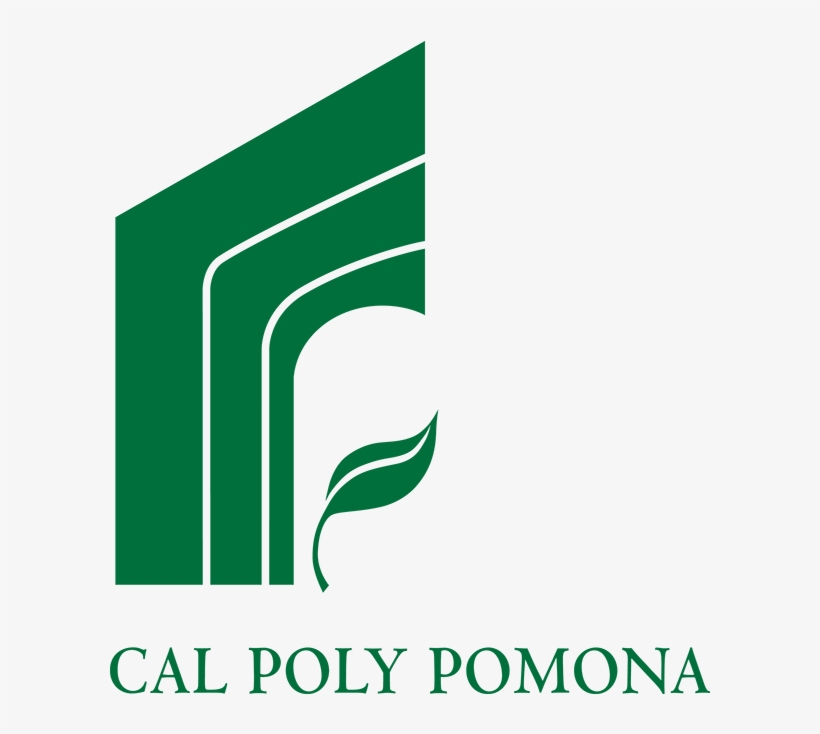 College Of Science / Department Of Physics And Astronomy, transparent png download