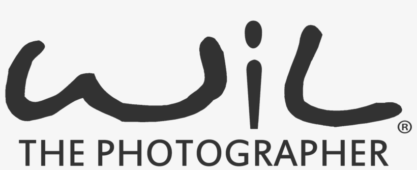 Wil The Photographer & Party Buses, transparent png download