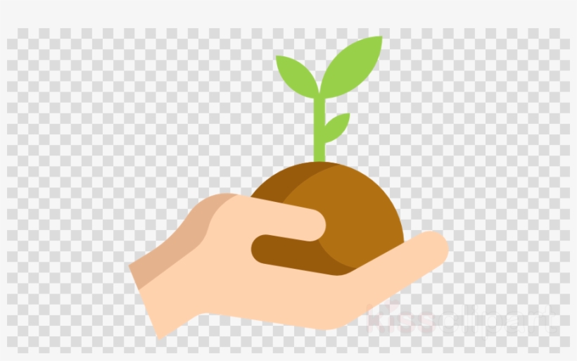 Seed Sprouting Png Clipart Brotação Seed Clip Art, transparent png download