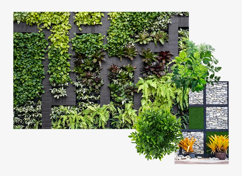 Why Choose An Artificial Plant Wall, transparent png download