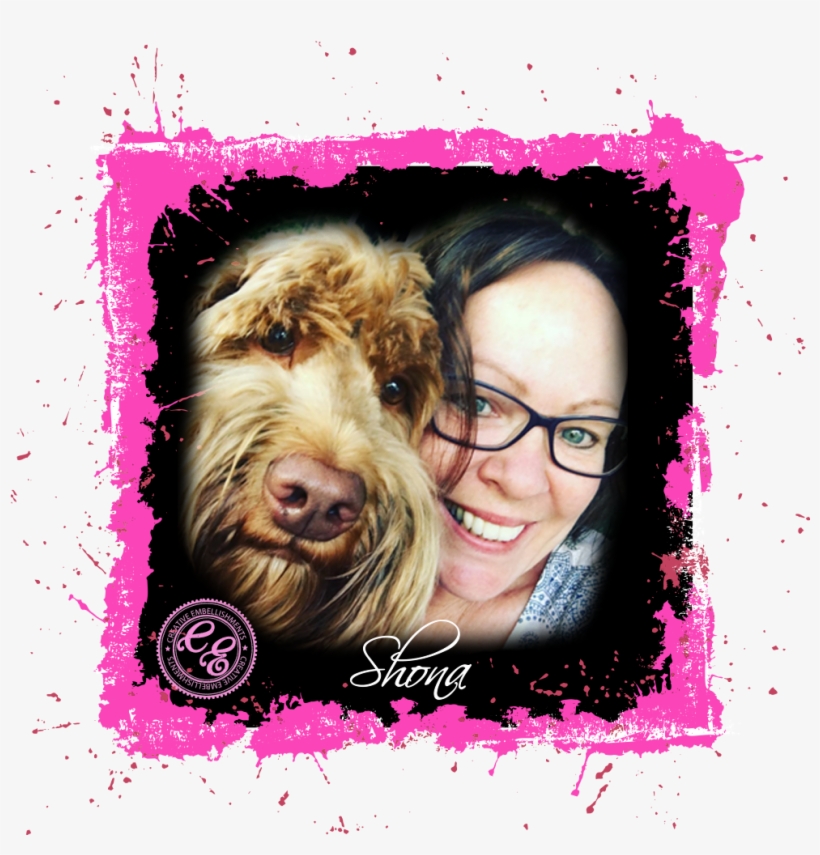 Follow Our Facebook Page To Get Details On The Upcoming, transparent png download