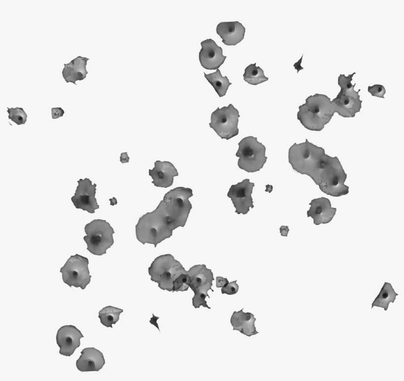 Spring Break Overkill Software, transparent png download