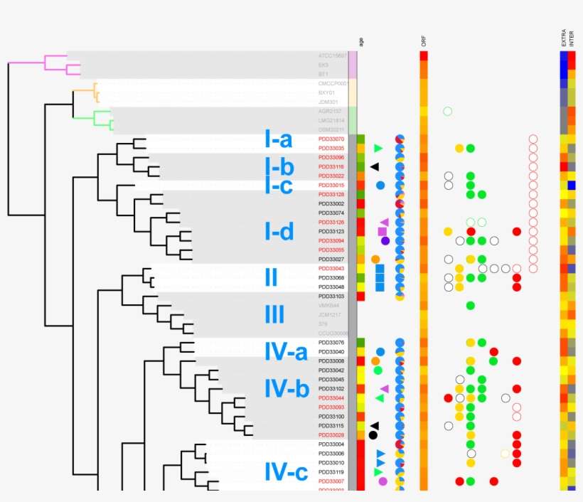Two Field Heatmap Dataset At The End, transparent png download