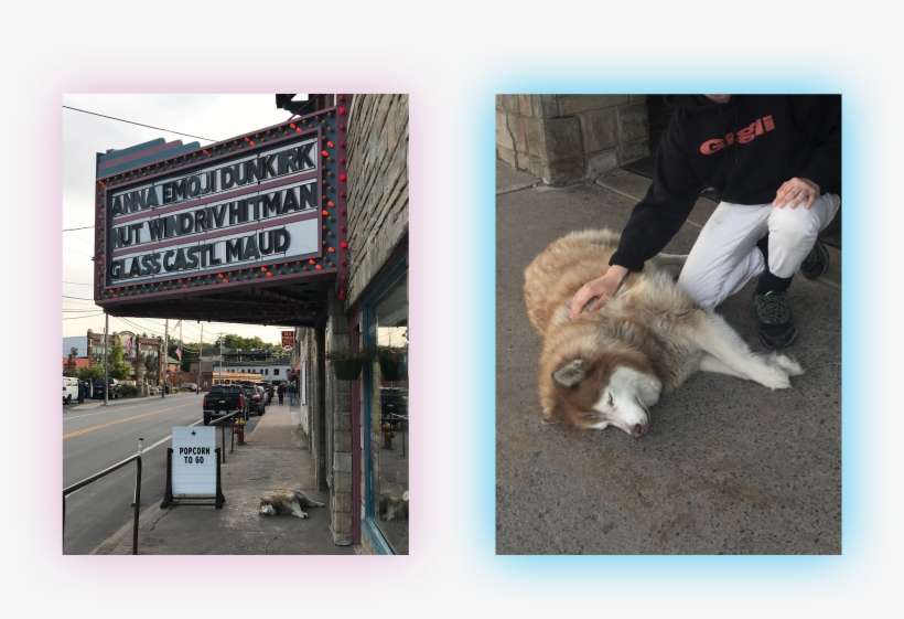 While We're On The Subject Of Having A Dog Who Lives, transparent png download